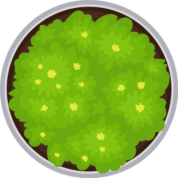 从上面看圆形花坛图片下载