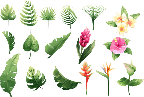 集绿叶和花朵水彩于一体图片下载