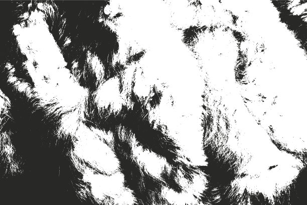 天然皮革的压花覆盖纹理图片下载