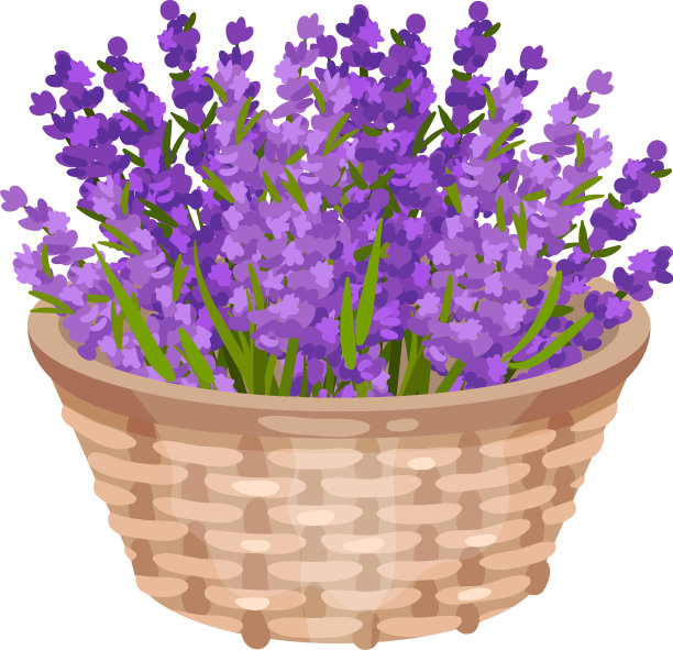 一束紫色的花放在篮子里图片下载
