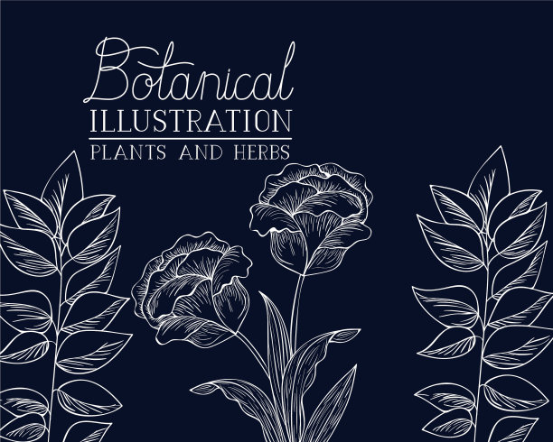 植物标签与植物和草药图片下载