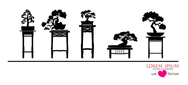 设置盆景树图片下载