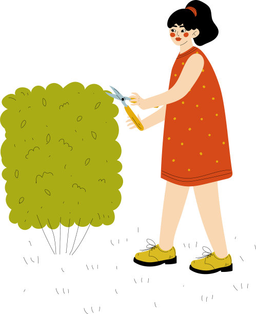 年轻女子剪树篱女孩在花园里工作图片下载