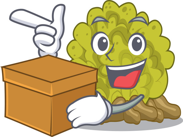 与盒子微型绿色珊瑚礁与吉祥物图片下载