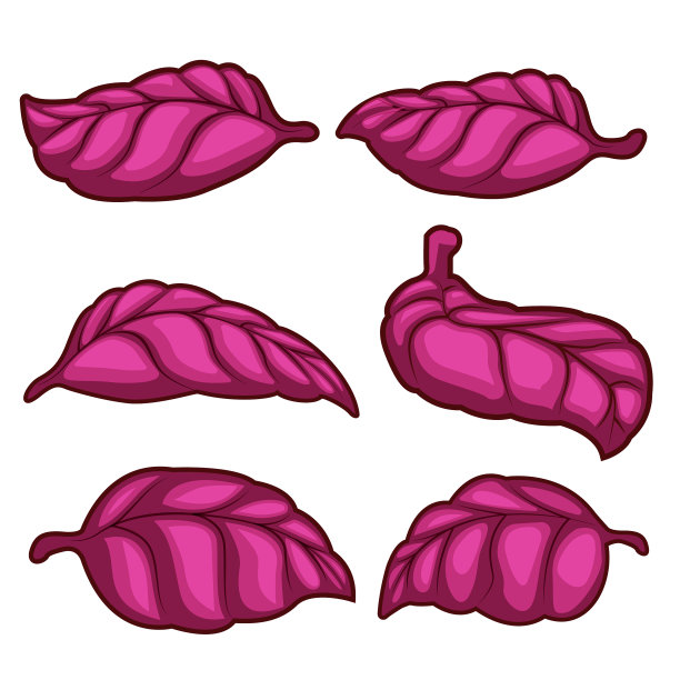 新鲜的红色罗勒叶孤立在白色图片下载
