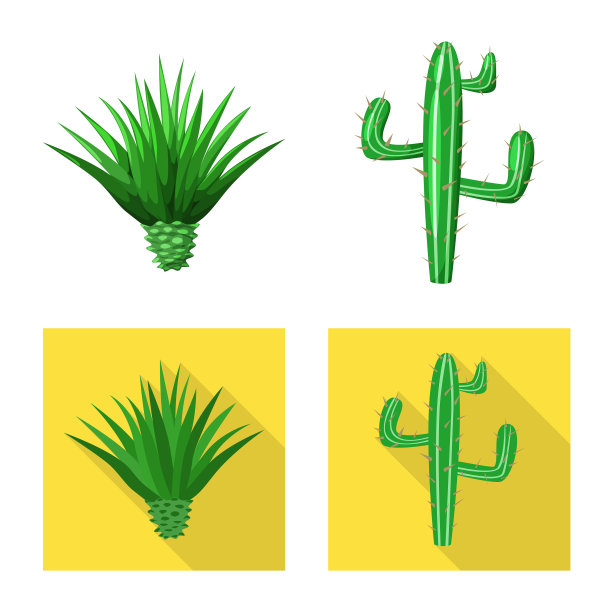 孤立对象咖啡馆和拉丁符号集图片下载