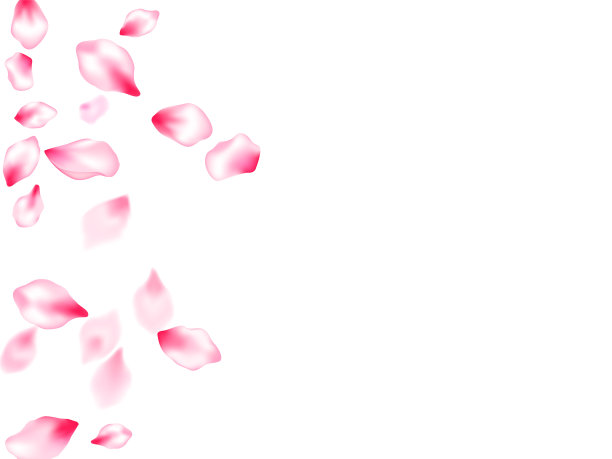 春花独瓣飞图片下载