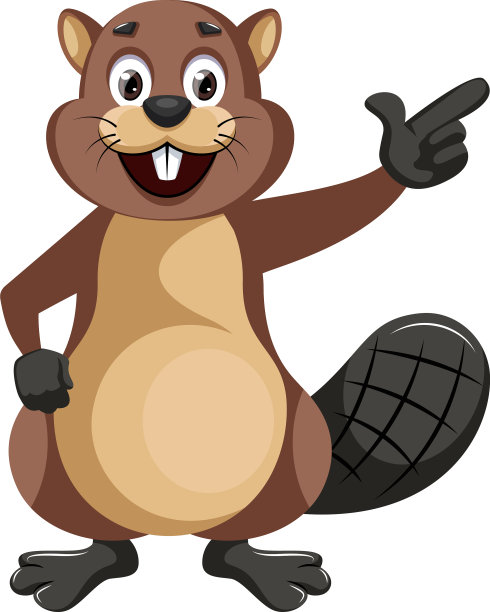 在白色背景上显示一些东西的海狸图片下载