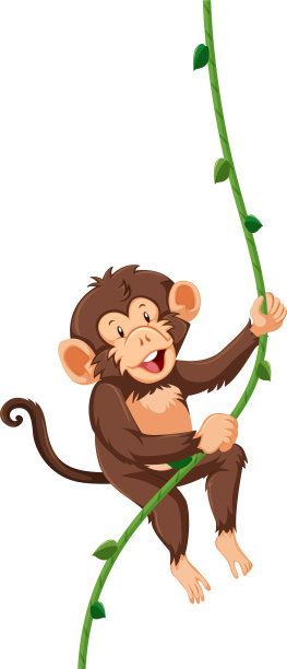一只挂在藤蔓上的猴子图片下载