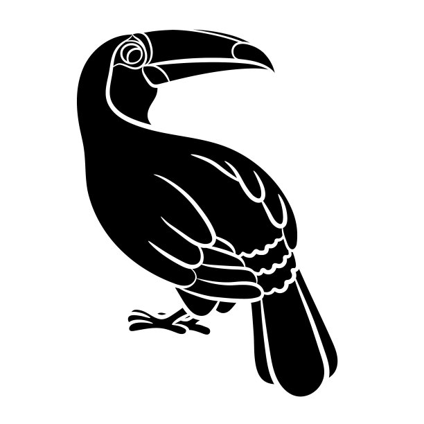 巨嘴鸟黑色的剪影在白色的背景图片下载