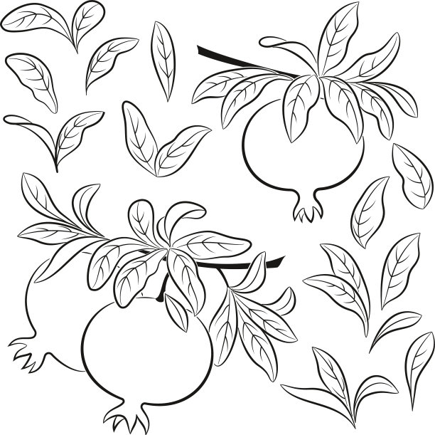 一组石榴象形文字图片下载