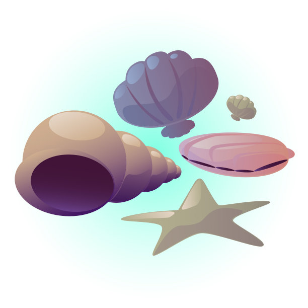 海贝集图片下载