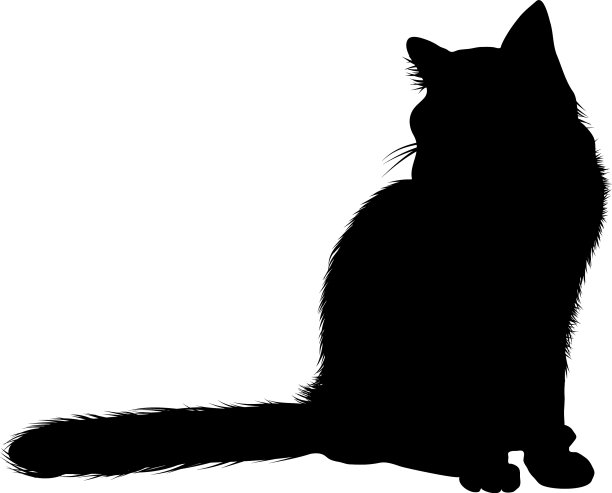 猫的轮廓图片下载