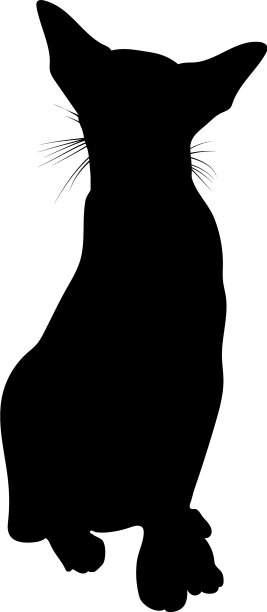 猫的轮廓图片下载
