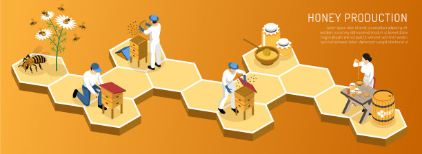 蜂蜜生产等距水平图片下载