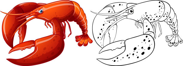 龙虾的动物轮廓图片下载