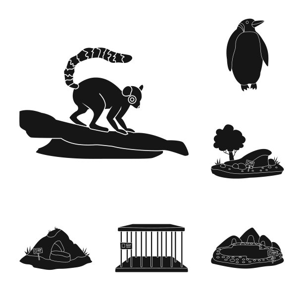 动物和娱乐图片下载