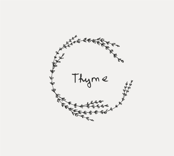 手绘设置烹饪香草罗勒和薄荷图片下载