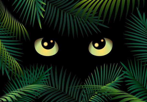 黑暗中的眼睛图片下载