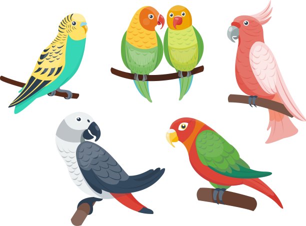 卡通鹦鹉集图片下载