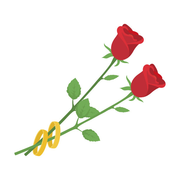 玫瑰礼物为婚礼上一朵美丽的花图片下载