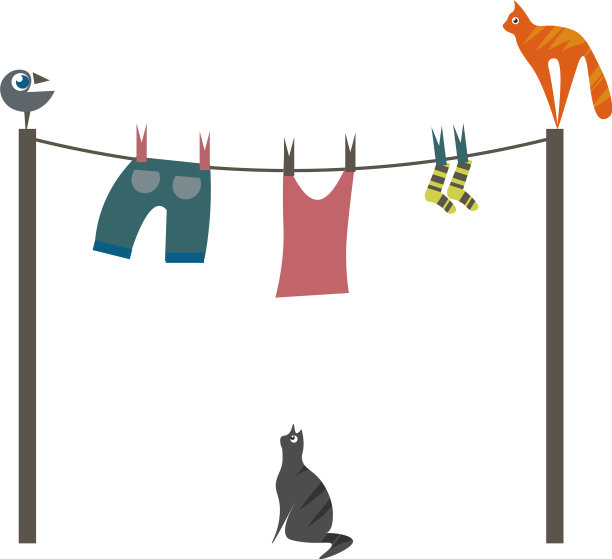 鸟猫和洗衣或颜色图片下载