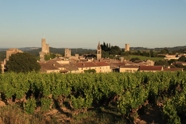 在法国的葡萄园图片下载