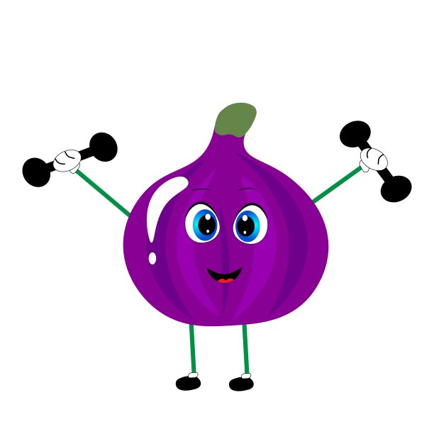 夏日无花果新鲜成熟的热带水果，健康生活方式。矢量插图卡通孤立在白色。图片下载