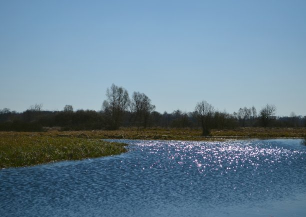 春天的风景。乌克兰。图片下载