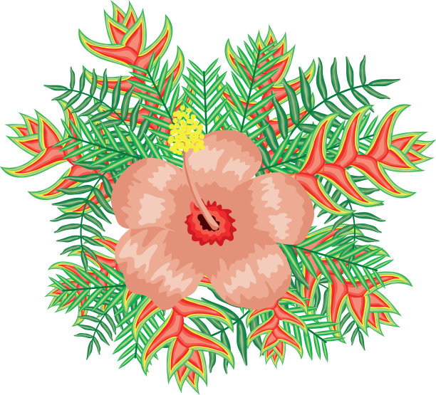 有叶子和向日葵的热带花园图片下载