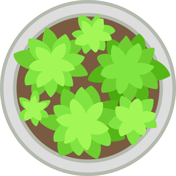 从上面看花坛中的几株植物图片下载