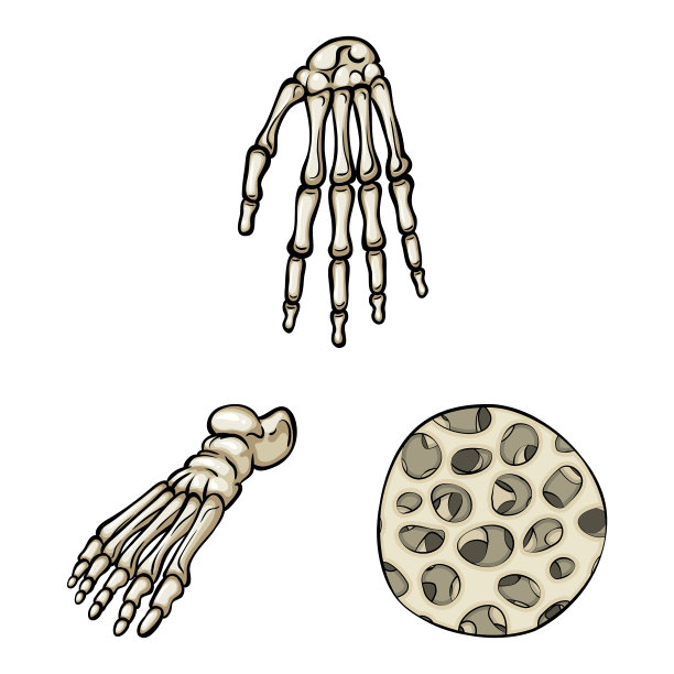 孤立对象骨骼和骨骼标志集图片下载