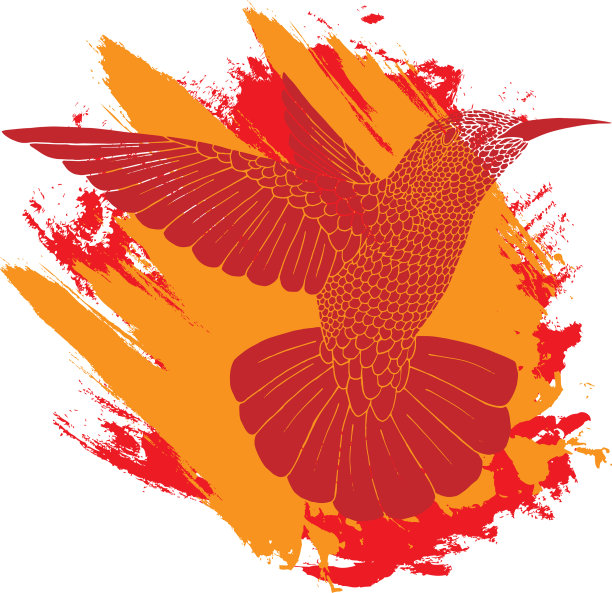 背景与飞行的colibri鸟在火焰刷图片下载