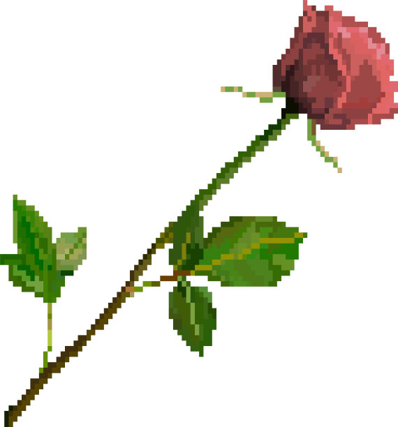 像素艺术玫瑰花孤立在白色背景图片下载