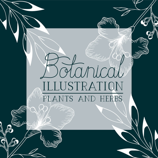 植物标签与植物和草药图片下载