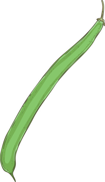 一个绿豆荚图片下载