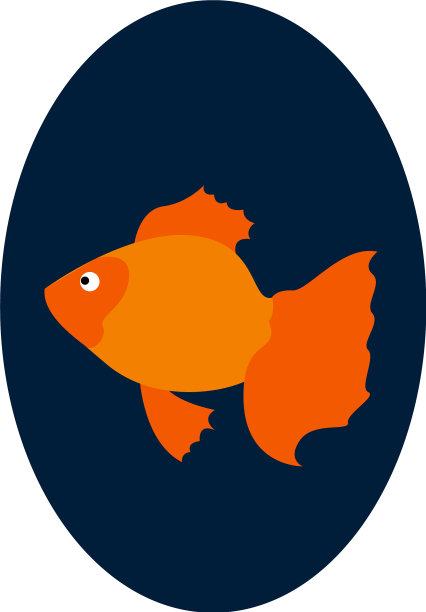 金鱼在鱼缸里游泳的样子图片下载