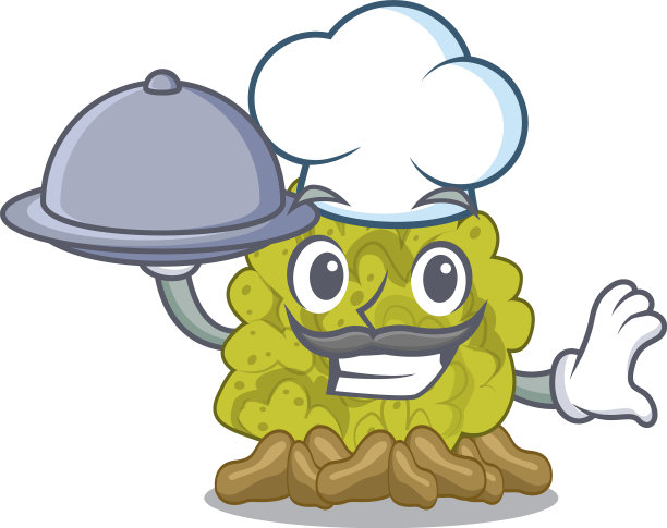 厨师用绿色的食物与珊瑚礁隔离图片下载