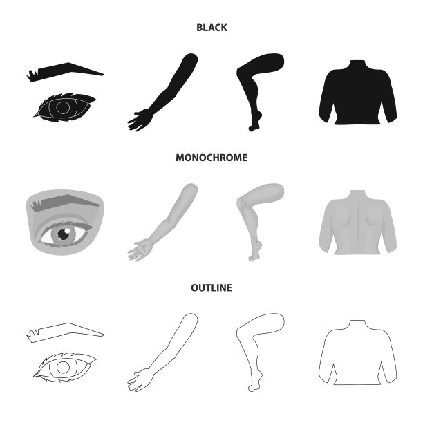 隔离的对象主体和零件标识集主体图片下载