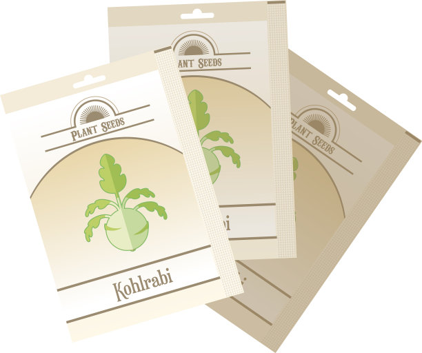 包大头菜种子图标图片下载