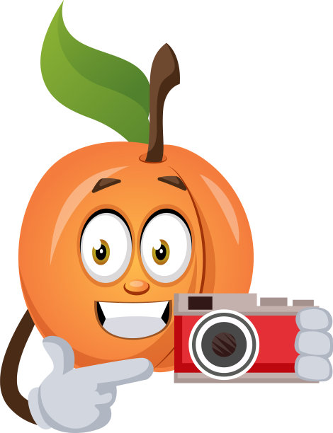 白色背景上的杏子相机图片下载