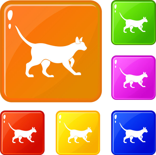 猫的图标设置颜色图片下载