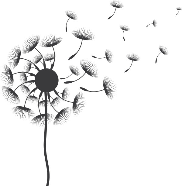 蒲公英图片下载