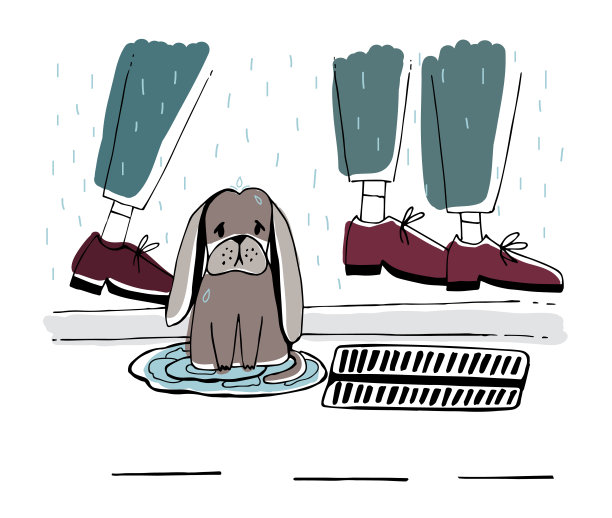 流浪狗在街上无家可归的小狗带着悲伤图片下载