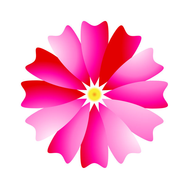 粉红色的花图片下载