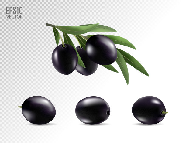 黑橄榄设置孤立的照片逼真图片下载