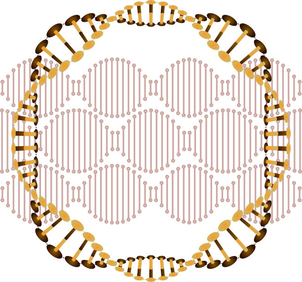 循环DNA链科学图标图片下载