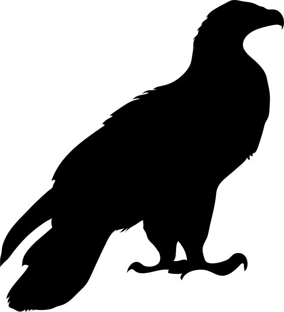 鸟的轮廓图片下载