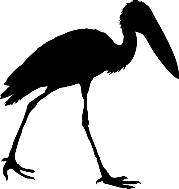 鸟的轮廓图片下载