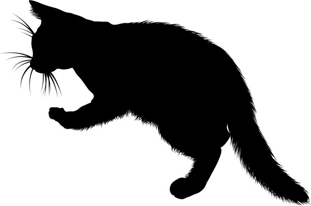 猫的轮廓图片下载